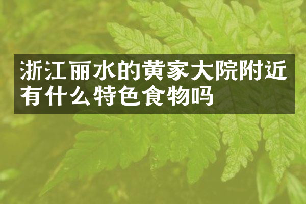浙江丽水的黄家大院附近有什么特色食物吗