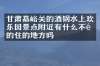 甘肃嘉峪关的酒钢水上欢乐园景点附近有什么不错的住的地方吗