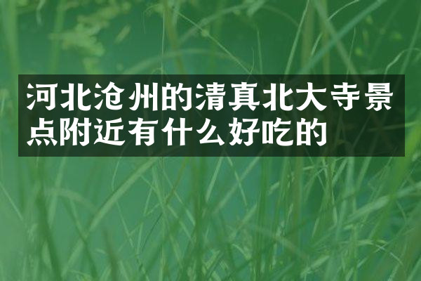 河北沧州的清真北大寺景点附近有什么好吃的