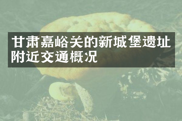 甘肃嘉峪关的新城堡遗址附近交通概况