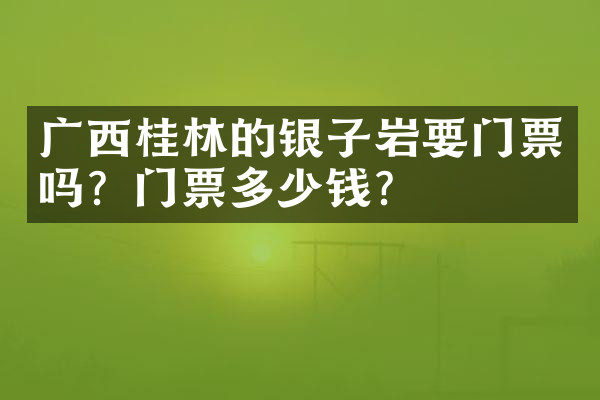 广西桂林的银子岩要门票吗？门票多少钱？