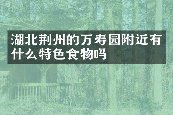 湖北荆州的万寿园附近有什么特色食物吗