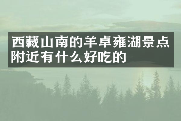 西藏山南的羊卓雍湖景点附近有什么好吃的
