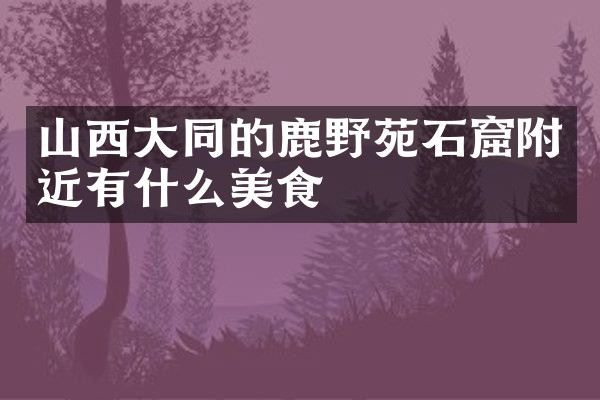 山西大同的鹿野苑石窟附近有什么美食