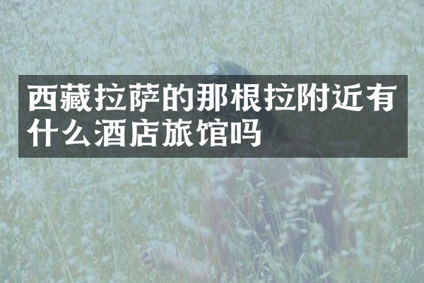 西藏拉萨的那根拉附近有什么酒店旅馆吗