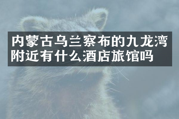 内蒙古乌兰察布的九龙湾附近有什么酒店旅馆吗