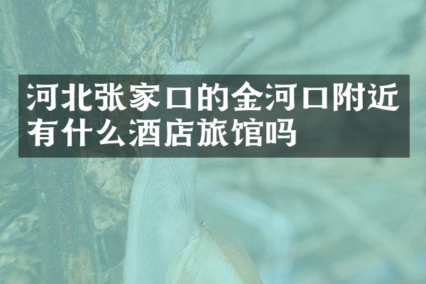 河北张家口的金河口附近有什么酒店旅馆吗