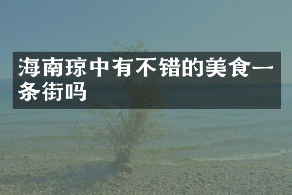 海南琼中有不错的美食一条街吗