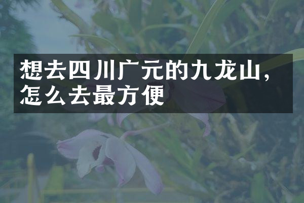 想去四川广元的九龙山，怎么去最方便