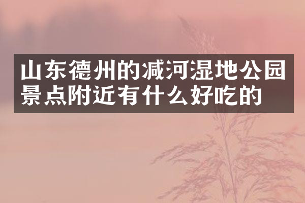 山东德州的减河湿地公园景点附近有什么好吃的