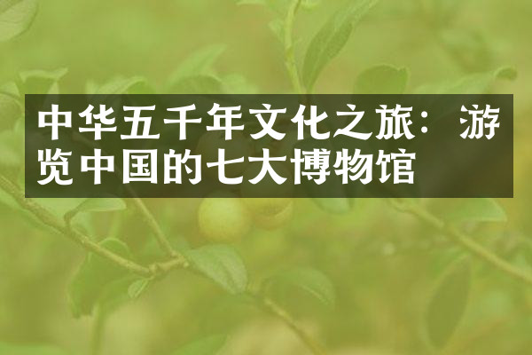 中华五千年文化之旅：游览中国的七大博物馆