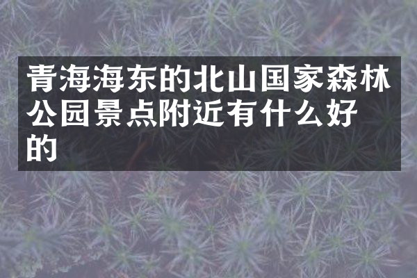 青海海东的北山国家森林公园景点附近有什么好吃的