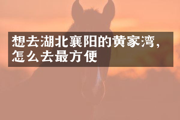 想去湖北襄阳的黄家湾，怎么去最方便