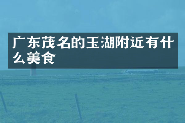 广东茂名的玉湖附近有什么美食