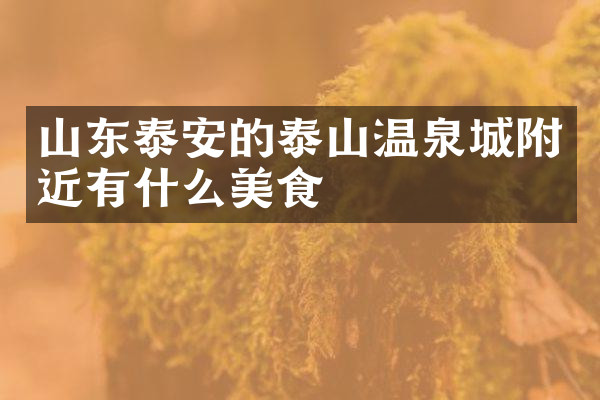 山东泰安的泰山温泉城附近有什么美食