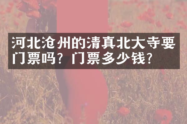 河北沧州的清真北大寺要门票吗？门票多少钱？