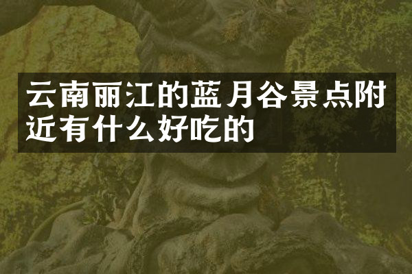 云南丽江的蓝月谷景点附近有什么好吃的