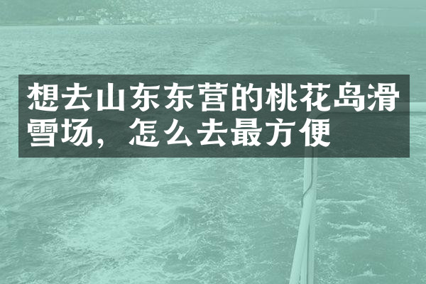 想去山东东营的桃花岛滑雪场，怎么去最方便