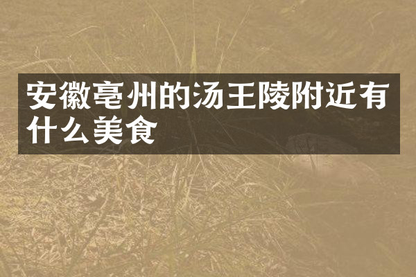 安徽亳州的汤王陵附近有什么美食