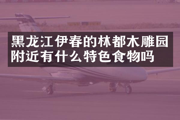 黑龙江伊春的林都木雕园附近有什么特色食物吗