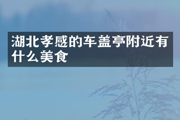 湖北孝感的车盖亭附近有什么美食