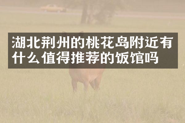 湖北荆州的桃花岛附近有什么值得推荐的饭馆吗