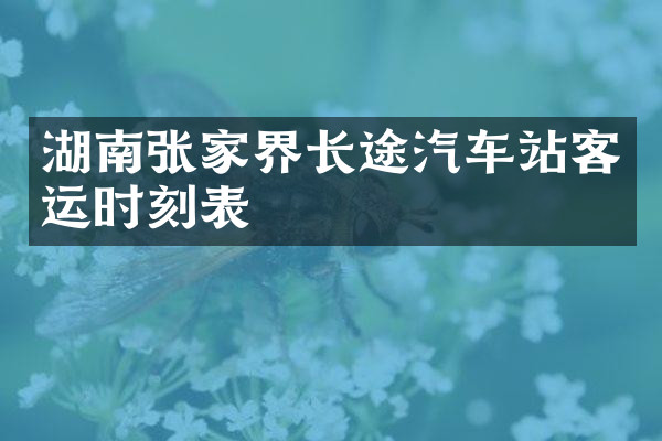 湖南张家界长途汽车站客运时刻表
