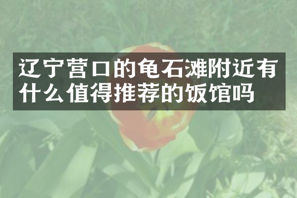 辽宁营口的龟石滩附近有什么值得推荐的饭馆吗