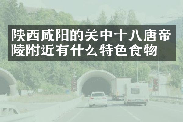 陕西咸阳的关中十八唐帝陵附近有什么特色食物吗