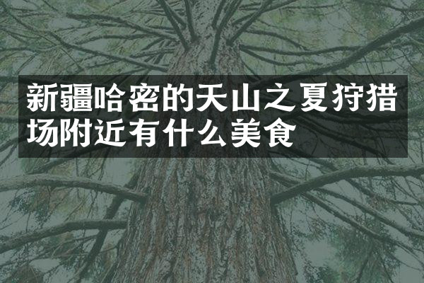新疆哈密的天山之夏狩猎场附近有什么美食