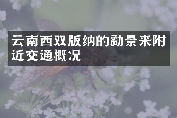 云南西双版纳的勐景来附近交通概况
