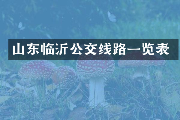 山东临沂公交线路一览表