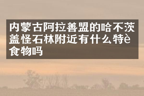 内蒙古阿拉善盟的哈不茨盖怪石林附近有什么特色食物吗