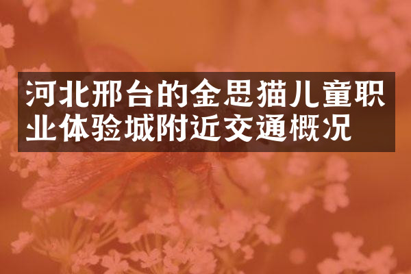 河北邢台的金思猫儿童职业体验城附近交通概况