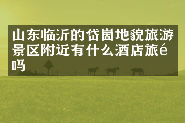 山东临沂的岱崮地貌旅游景区附近有什么酒店旅馆吗