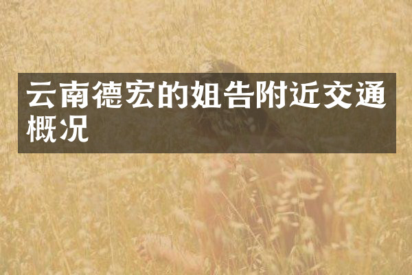 云南德宏的姐告附近交通概况