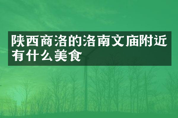 陕西商洛的洛南文庙附近有什么美食