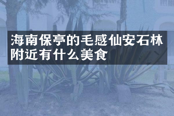 海南保亭的毛感仙安石林附近有什么美食
