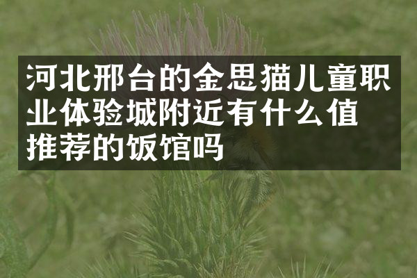 河北邢台的金思猫儿童职业体验城附近有什么值得推荐的饭馆吗