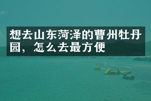 想去山东菏泽的曹州牡丹园，怎么去最方便