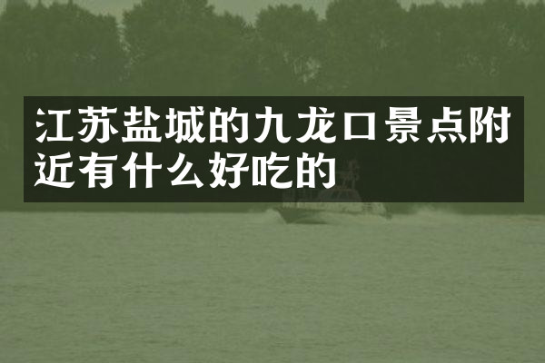 江苏盐城的九龙口景点附近有什么好吃的