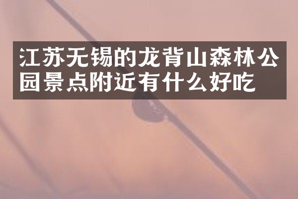 江苏无锡的龙背山森林公园景点附近有什么好吃的