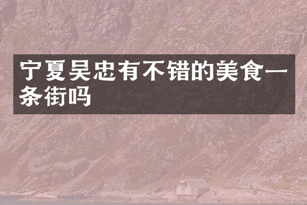宁夏吴忠有不错的美食一条街吗