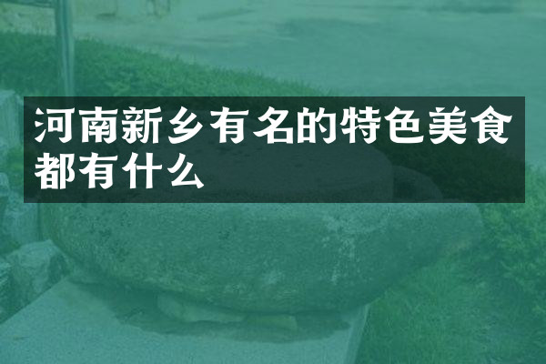 河南新乡有名的特色美食都有什么