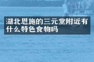 湖北恩施的三元堂附近有什么特色食物吗