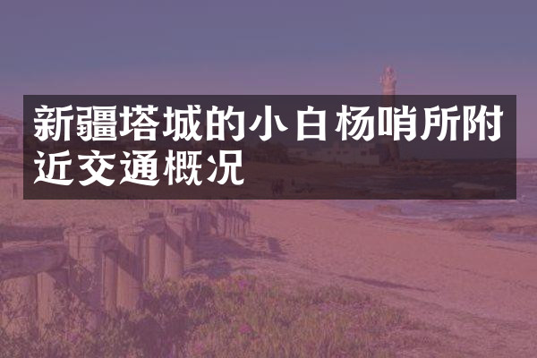 新疆塔城的小白杨哨所附近交通概况