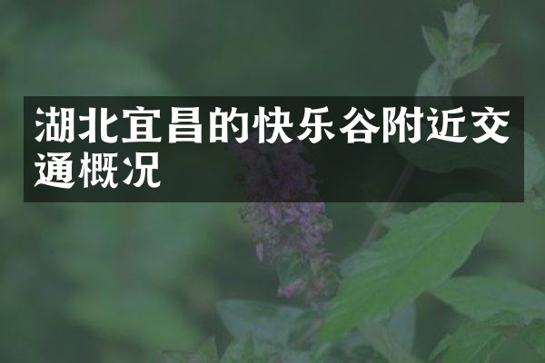 湖北宜昌的快乐谷附近交通概况