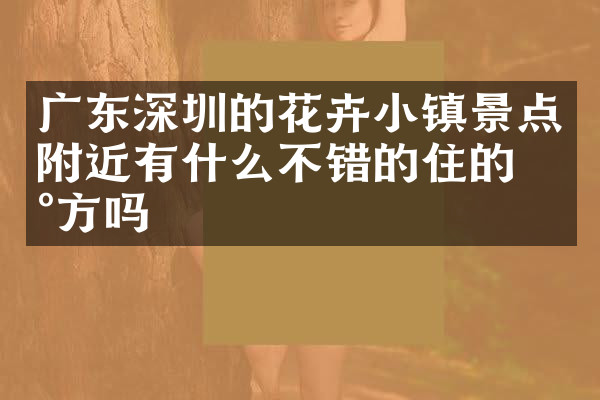 广东深圳的花卉小镇景点附近有什么不错的住的地方吗