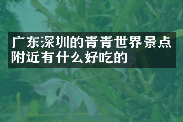 广东深圳的青青世界景点附近有什么好吃的