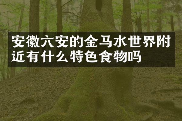 安徽六安的金马水世界附近有什么特色食物吗